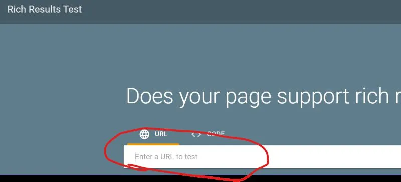 Google Rich Results Test interface to verify.